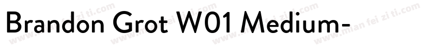 Brandon Grot W01 Medium字体转换